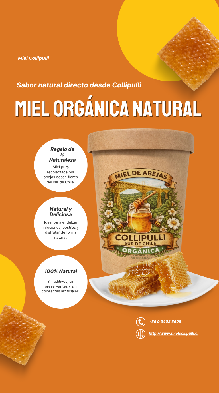 🐝 Miel de Abejas Orgánica de Collipulli 1kilo – Sur de Chile
